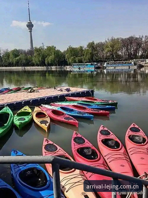2026乐竞LJ赛事官网入口避坑指南——从"找不到门"到"进错门"的全面解析